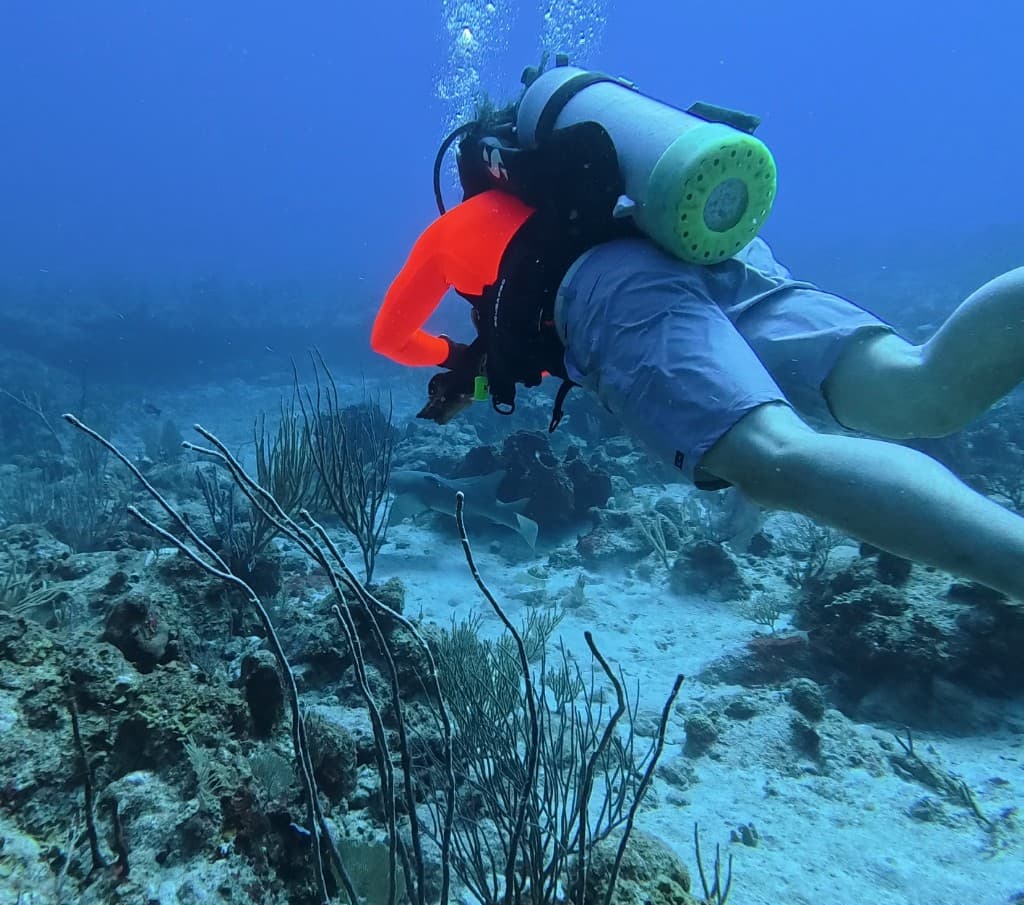 Dr. Beau Swann scuba diving underwater